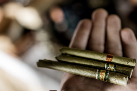 Day trip on Inle Lake - Cigars