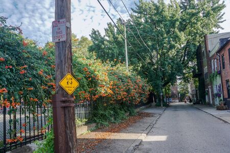 yellow slow caution sign in alleyの写真素材