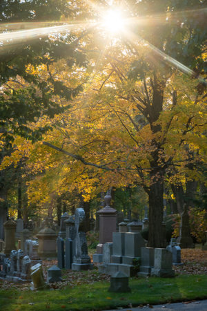 Autumn colors in America with United states flag waving in air