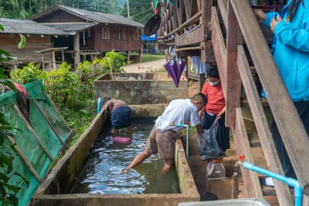 Children farming catfish in Ban Huai Hillside Village, a Rural Northern Thailand near Myanmar Borderのeditorial素材