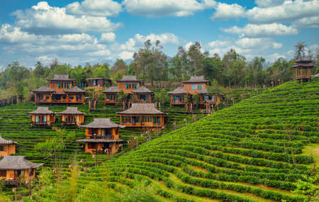 Photo taken during motorcycle trip from Mae Hong Son to Ban Rak Thai in Northern Thailand near Burmese borderのeditorial素材