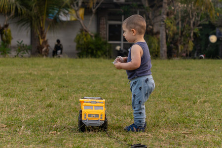 Little boy playing with a toy car on the lawn in the park