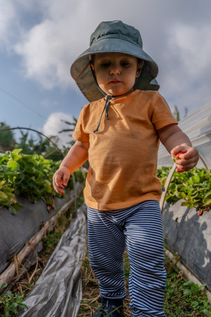 Cute little boy wearing a hat in the garden. Selective focus.の写真素材