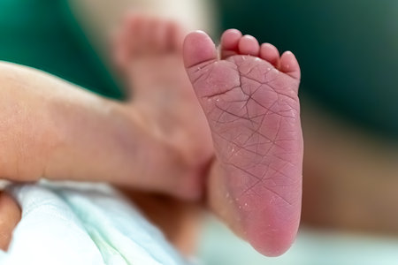 Newborn baby's feet in mother's hands close-up.の写真素材
