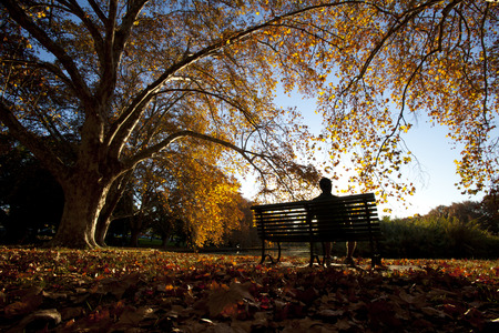 Contemplation on a park benchの写真素材