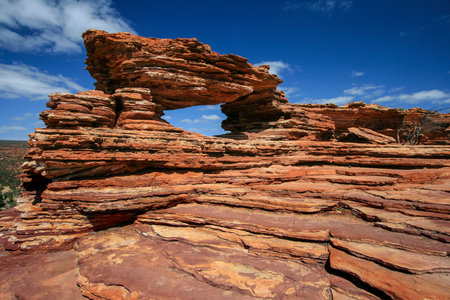 NAture's Window Kalbarriの写真素材