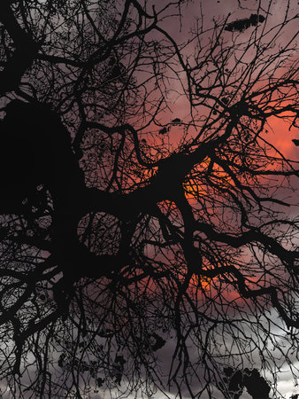 Eerie 'folk horror' inspired trees in Winter.