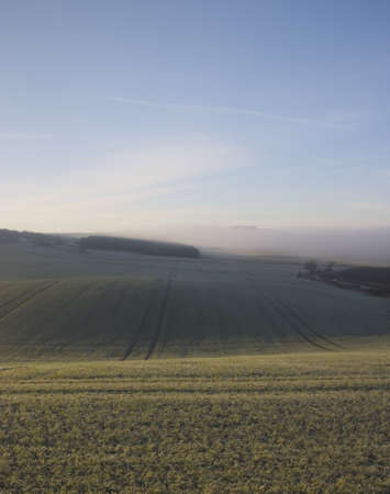Foggy Day Landscapeの写真素材