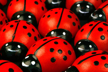 Flock of ladybugsの写真素材