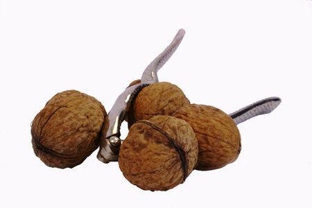 English walnuts with nutcracker