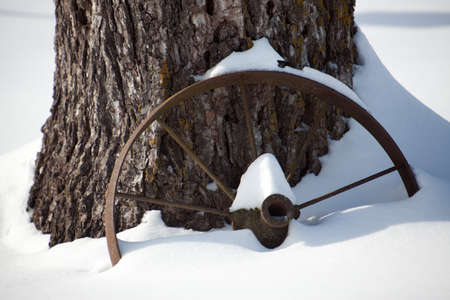 A snow covered wagon wheel laying against a tree.の写真素材