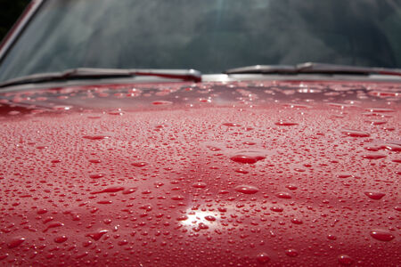 The hood of a red car with water drops.の写真素材