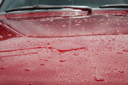 A red car hood covered in water droplets.の写真素材