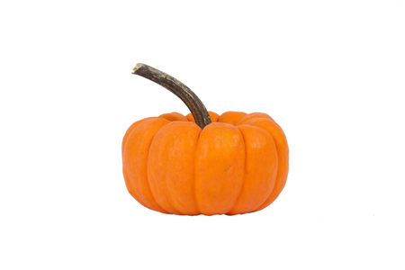 A small pumpkin isolated on a white background.の写真素材