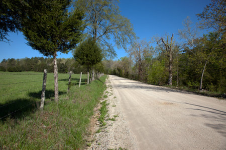 A dirt road through a rural landscape.