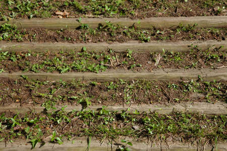 Wooden steps placed in the ground.の写真素材