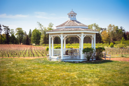 Shady gazebo by rows of grapes
