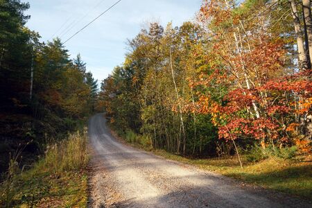 A rural gravel road through autumn treesの写真素材