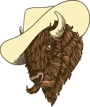 Buffaloのイラスト素材