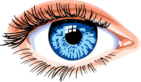 Eyeのイラスト素材