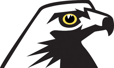 Hawkのイラスト素材