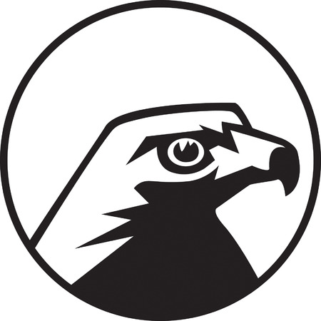 Hawkのイラスト素材