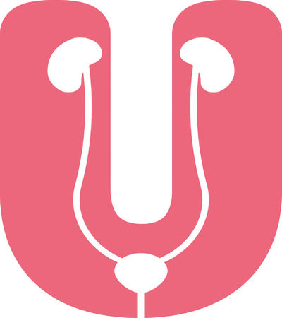 Uterus のイラスト素材