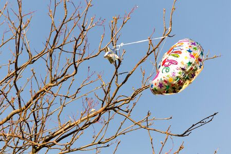 Party Balloon Tangled In Tree Branchesの写真素材