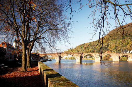 Bridgeの写真素材