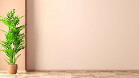 Empty room interior background, coral wall, vase with palm 3d renderingの写真素材