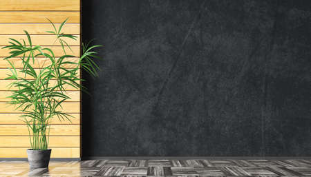 Empty room interior background, wooden boards paneling and black concrete stucco mockup wall, wooden flooring, pot with grass. Copy space. 3d renderingの写真素材