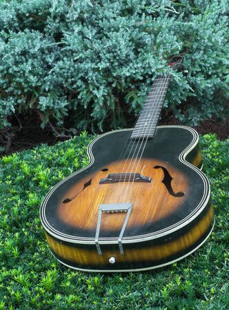 Old acoustic guitar lying flat on shrubbery.の写真素材