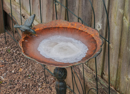 View of old rusty cast iron bird bath with water frozen due to cold.