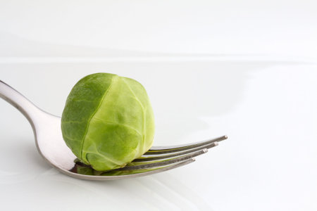 One sprout on a fork on white plateの写真素材