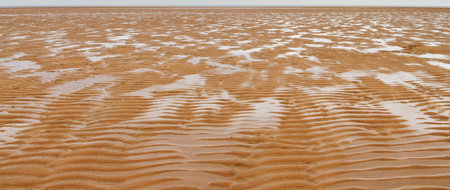 Sand ripples on a deserted beach