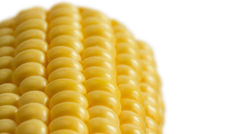 Close sweetcorn cob on white background with shallow focusの写真素材