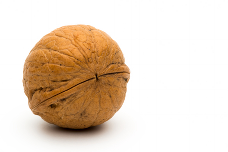 Single walnut on white backgroundの写真素材