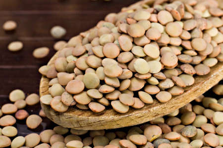 Lentils - Lens culinarisの写真素材