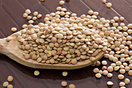 Lentils - Lens culinarisの写真素材