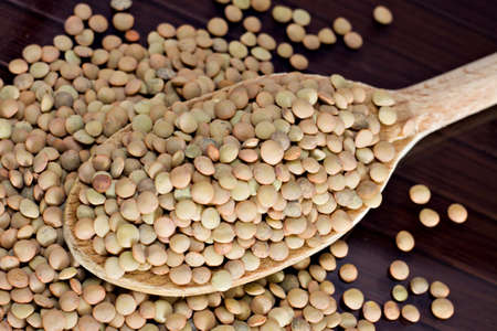 Lentils - Lens culinarisの写真素材