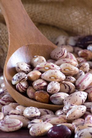 Borlotti beans in a wooden spoon and bagの写真素材