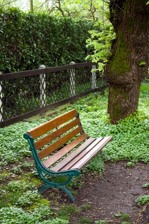 Bench in the groveの写真素材