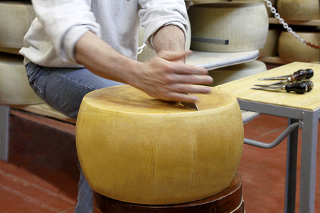 Cutting an italian wheel of cheeseの写真素材