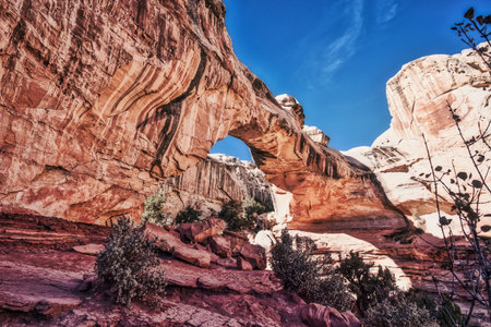 The beauty of Capitol Reef National Park in the middle of nowhere Utah, United States.の写真素材