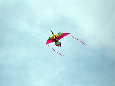Flying toucan kiteの写真素材