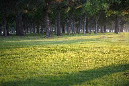 Idyllic relaxing parkの写真素材