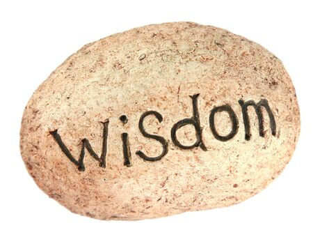 The word wisdom written on a rock for a garden