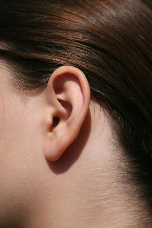 Closeup of the ear of a female brunette child