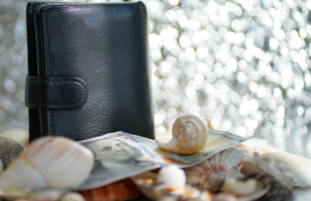 Black wallet and dollar and seashells on a silver background. blurred focus.