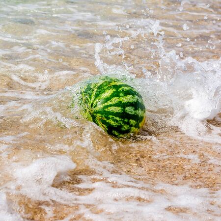 Ripe tasty watermelon for fun on the beach in the waves. selective focusの写真素材